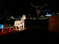 IMG 3681 IMG 3681