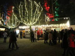 IMG 3704 IMG 3704