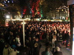 IMG 3759 IMG 3759