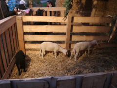 IMG 3844 IMG 3844