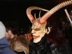 IMG 4203 IMG 4203