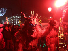 IMG 4228 IMG 4228