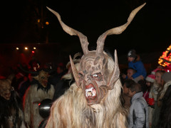 IMG 4230 IMG 4230