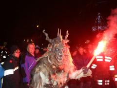 IMG 4235 IMG 4235