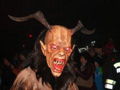 IMG 4238 IMG 4238