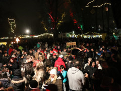IMG 4268 IMG 4268