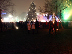 IMG 4286 IMG 4286