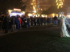 IMG 4295 IMG 4295