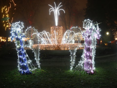 IMG 4300 IMG 4300