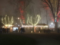 IMG 4303 IMG 4303