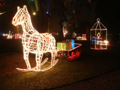 IMG 4321 IMG 4321