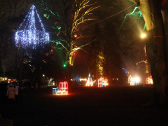 IMG 4325 IMG 4325