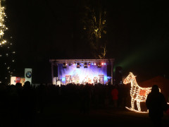 IMG 4373 IMG 4373